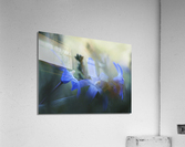 Broken Acrylic Print