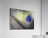 Tiny Blue Umbrella Acrylic Print