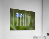 Never Forget Acrylic Print