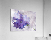 Pretty Me Impression acrylique