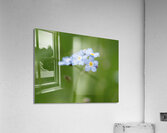 Small World Acrylic Print