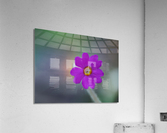 Delicate Beauty Acrylic Print