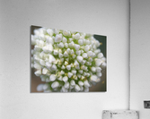 Another World Acrylic Print