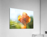 Poppy Burning Impression acrylique