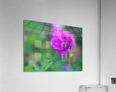 Little Bead Acrylic Print