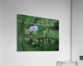 Small Universe Acrylic Print