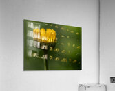 Pizazz Acrylic Print