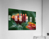 Firewheel Acrylic Print