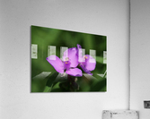 Visitor Impression acrylique