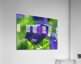 Coin coin Acrylic Print