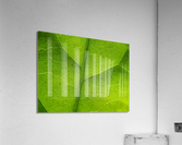 Leaf Texture Acrylic Print
