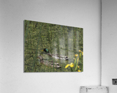 Sauve Qui Peut Acrylic Print