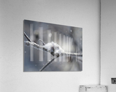 Frozen Wild Berry Acrylic Print