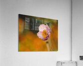 Among Others Acrylic Print