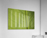 Some Leaf Impression acrylique