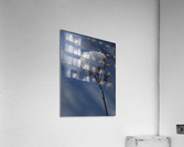 Frozen Top Impression acrylique