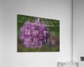 Jewels In Nature Acrylic Print