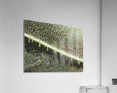 Leaf with Morning Dew Impression acrylique
