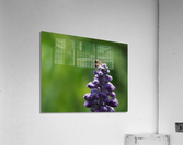 On Top Acrylic Print