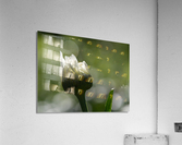 Tranquility Acrylic Print