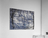 Peaceful Acrylic Print