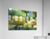 In My Dream Acrylic Print