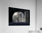 Frozen Bubble Acrylic Print