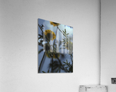 Ant Eye View Acrylic Print