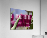 Oh Sunny Day Acrylic Print