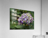 Endless Summer Acrylic Print