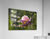 Broken Bowl Flower Acrylic Print