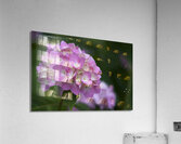 Tea of Heaven Acrylic Print