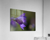 Water Drop Refraction Acrylic Print