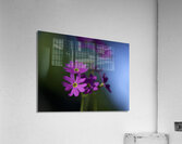 Dainty Blossoms Acrylic Print