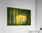 Golden One Impression acrylique