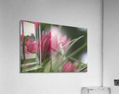 Charming Ladies Acrylic Print