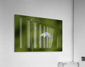 Tiny Blue Beauties Impression acrylique