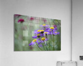 Lovely Ladies Acrylic Print