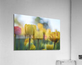 Unique Acrylic Print