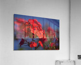 Pretty in Red Acrylic Print