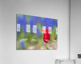 Me Myself I Acrylic Print