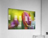 Freshness Overload Impression acrylique