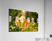 Glorious Day Acrylic Print