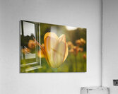 Wonderful Day Impression acrylique