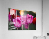 Three Amigos Acrylic Print