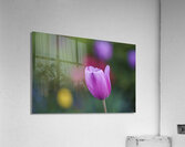 Soothing Space Acrylic Print