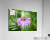 Ruby Star Impression acrylique