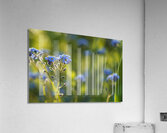 Happy Day Acrylic Print