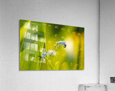 Here Comes the Sun Acrylic Print