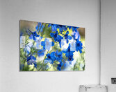 Bluest Blue Flowers Acrylic Print